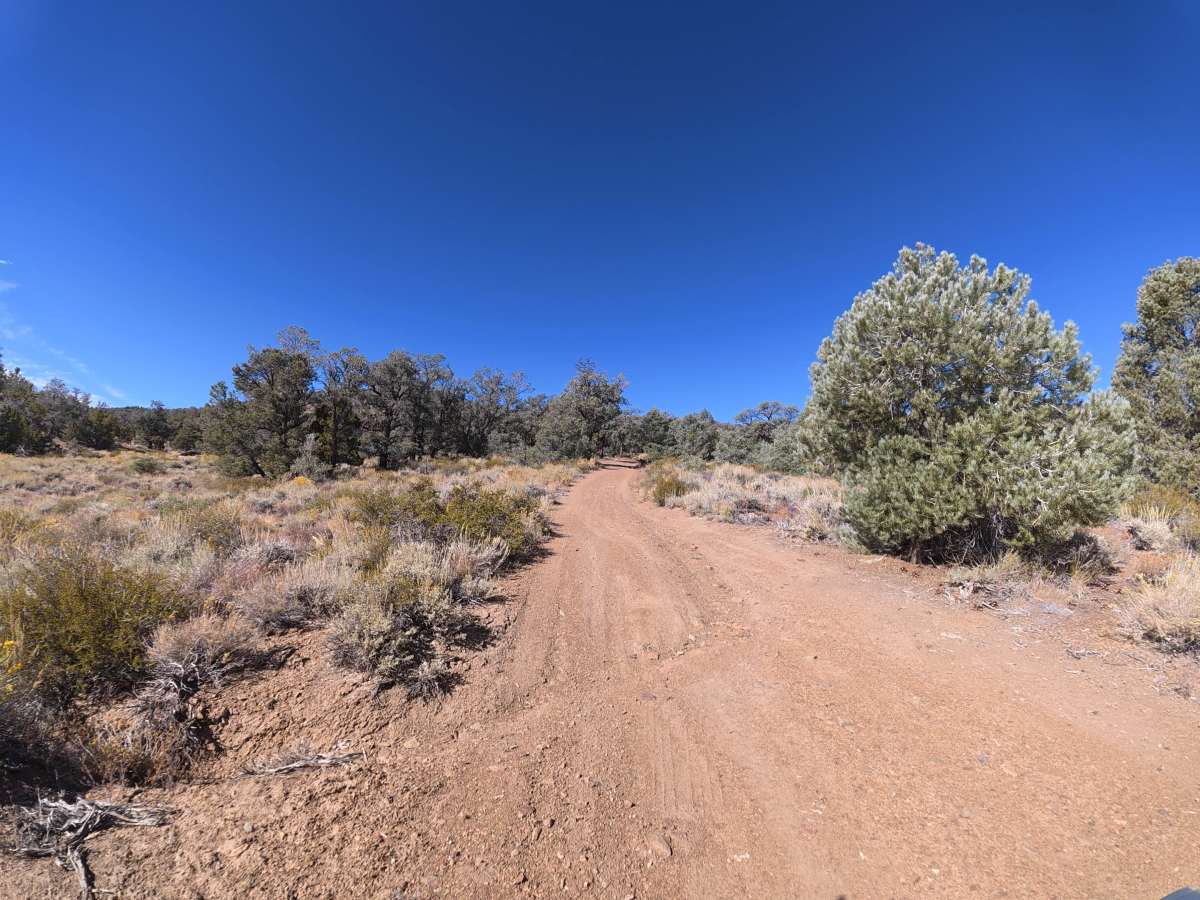 FS 8S109 trail photo