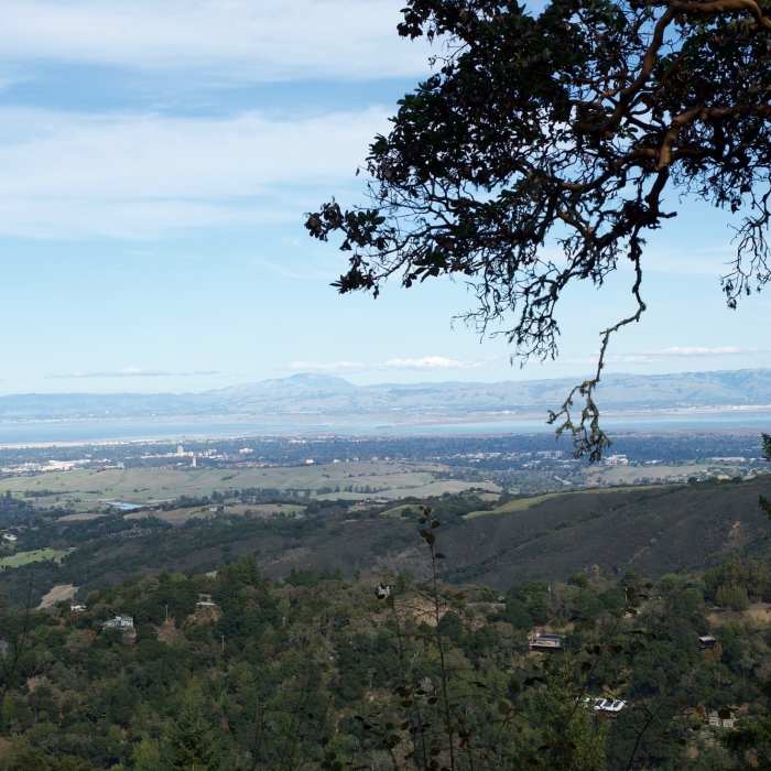 Near Coal Road Trail