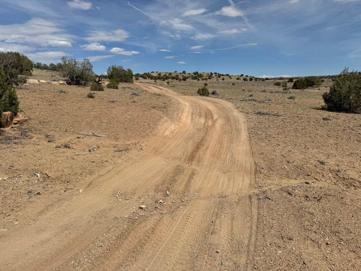 County Road 3417 photo 4