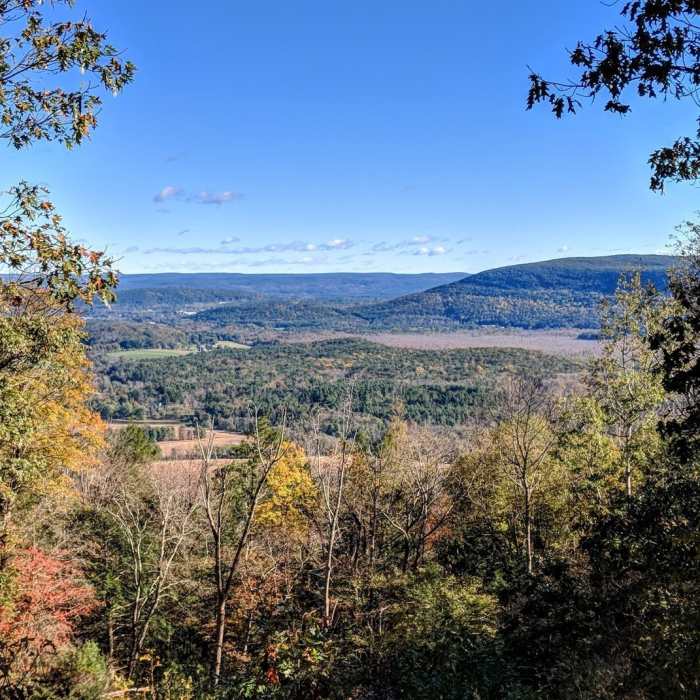 Near Rand's View Out and Back