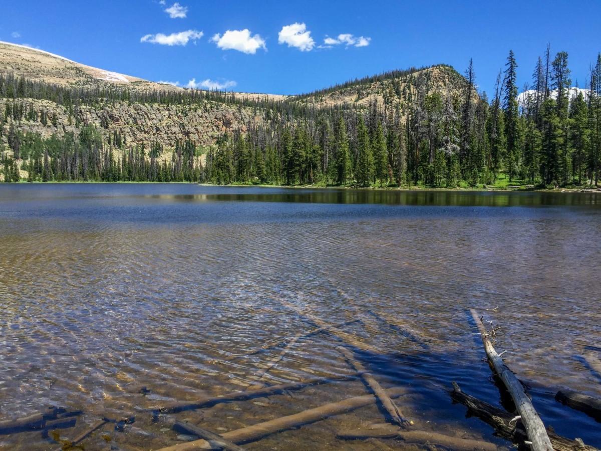 Murdock Basin photo 4