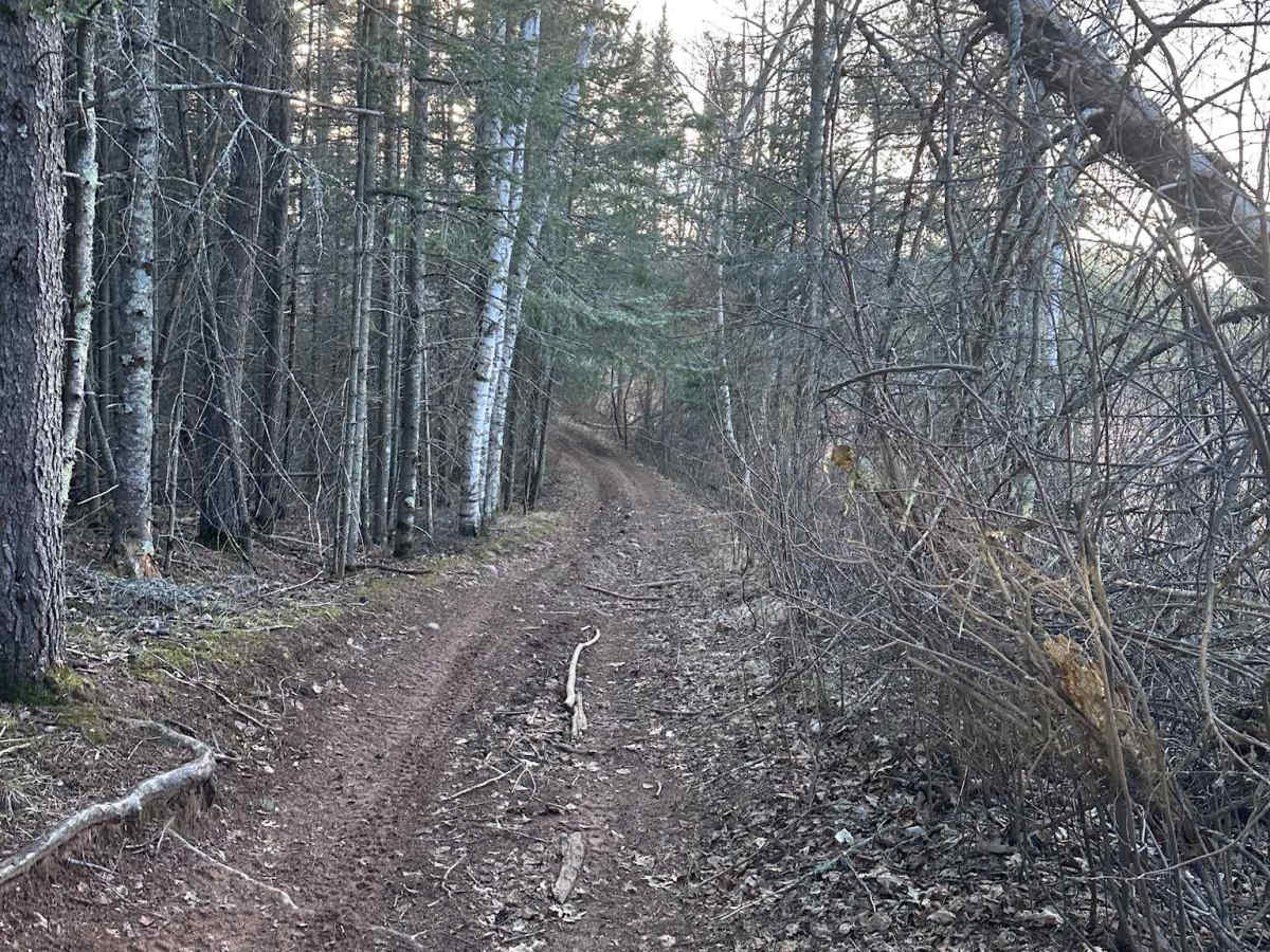 Zalesky Lake Trail photo 3