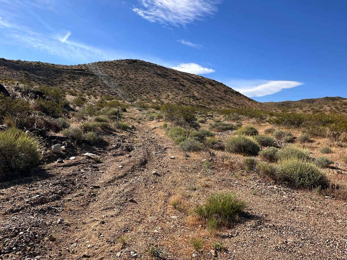 Sidewinder Trail trail photo