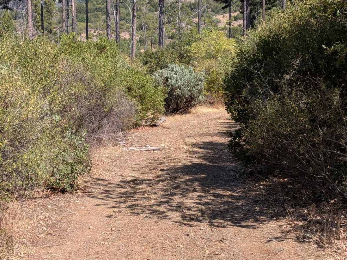 Friend Lake Road - FS 1N35 trail photo