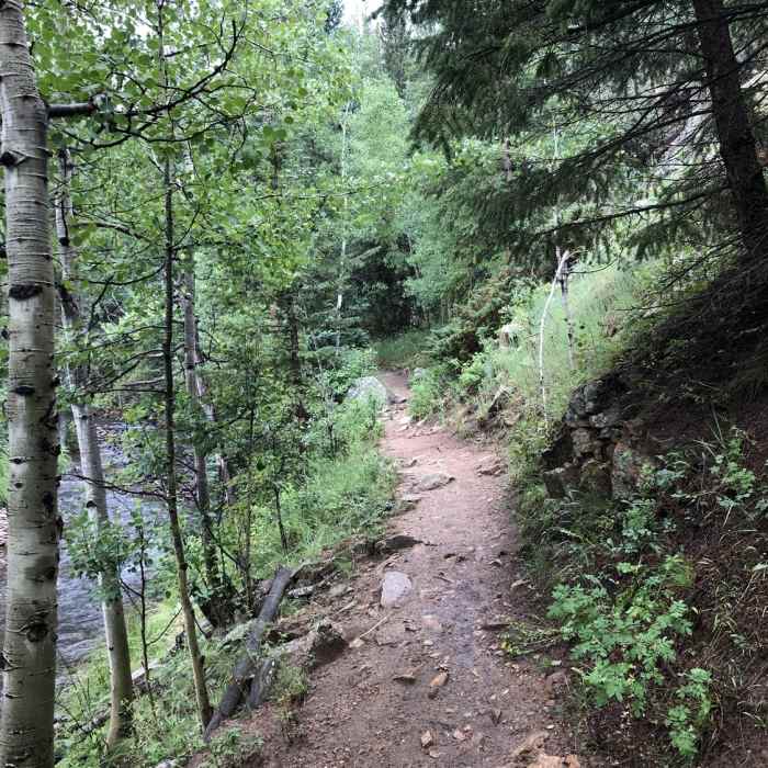 Near Ceran Saint Vrain Trail