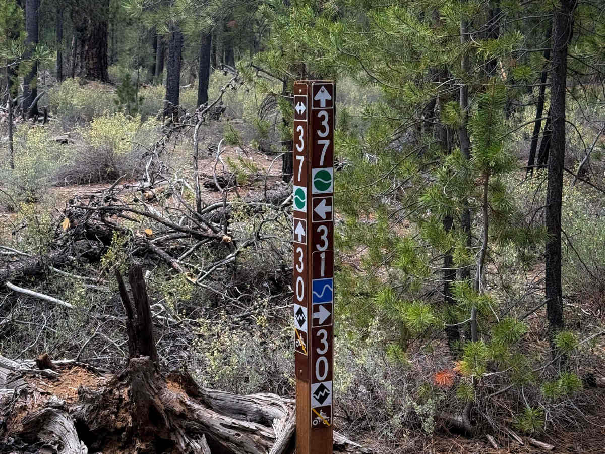 Trail 37  photo 2