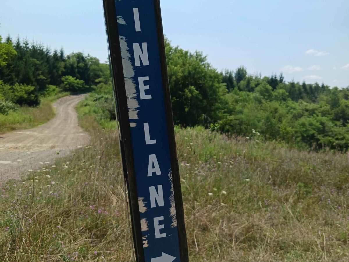 Pine Lane - Rock Run Recreation Area trail photo