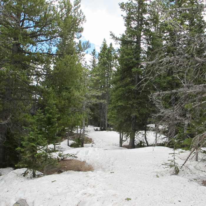 Near Storm Pass Trail