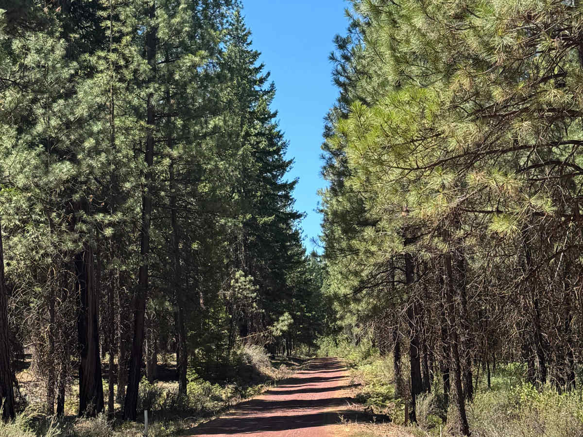 FS 1270-000 trail photo
