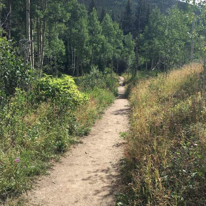 Near Racoon Trail