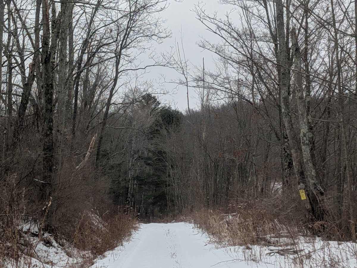 Hakes Road photo 2