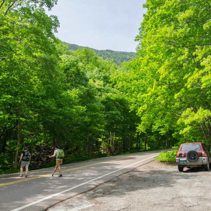 Near Mount Mansfield via Hell Brook + Long Trails Near Mount Mansfield via Hell Brook + Long Trails