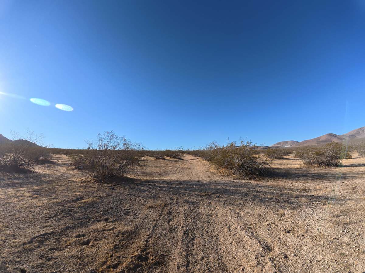 BLM SV2616 photo 5