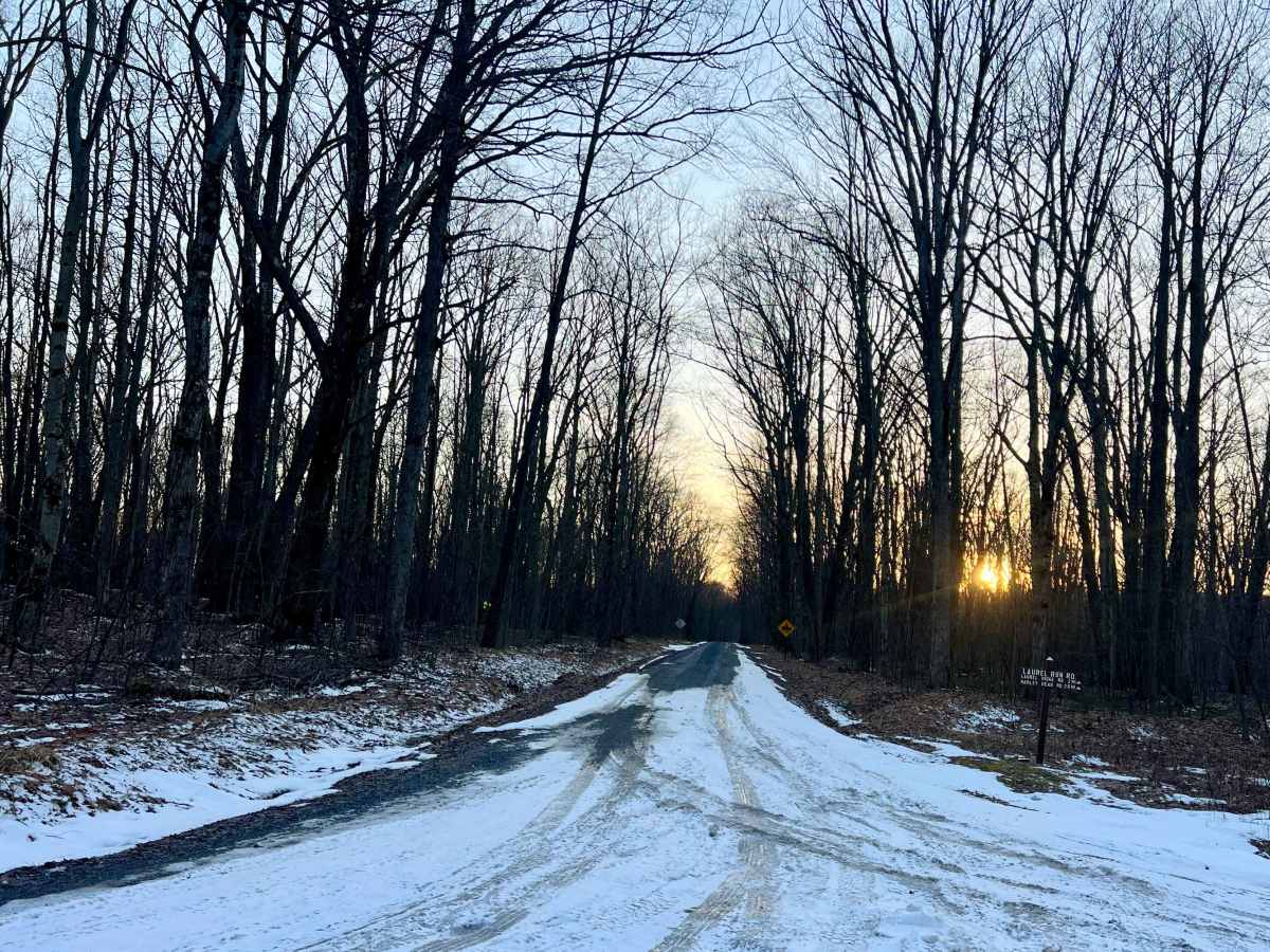 Laurel Run Road trail photo