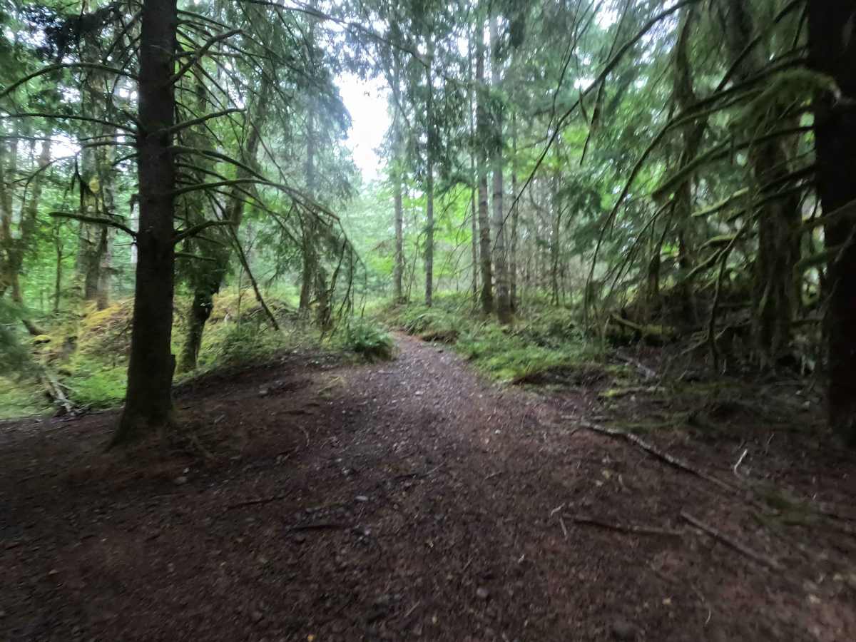 Randy's H2O Stop trail photo