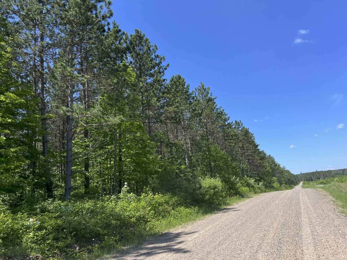 County Road O photo 2
