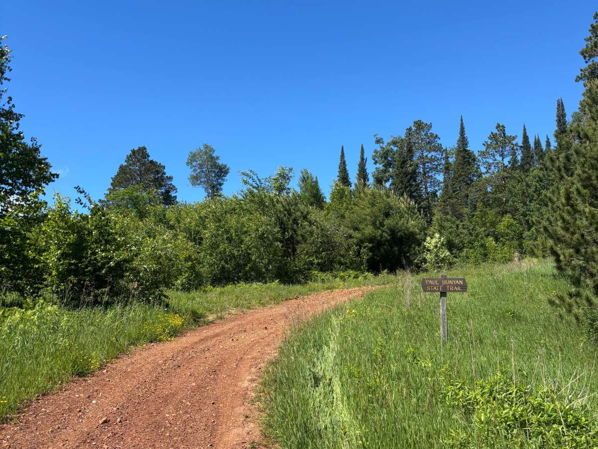 Howard Lake Spur - FS 2803 photo 6