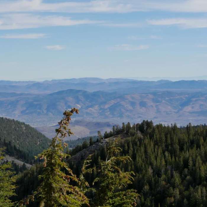 Near Tamarack Peak Loop