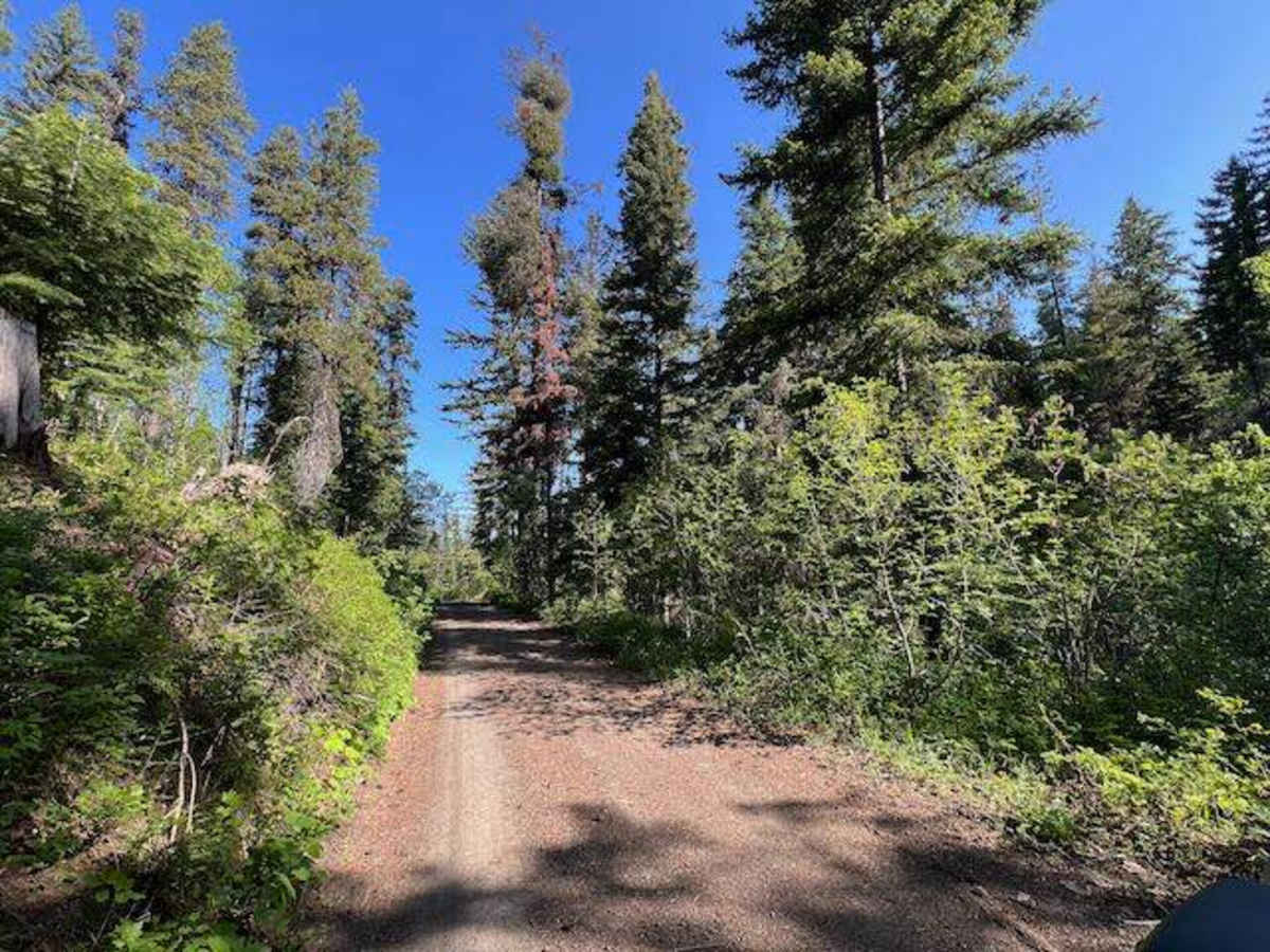 Scotty Creek Road - FS 7324 photo 4