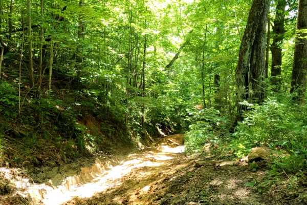 Cold Iron Fork Road