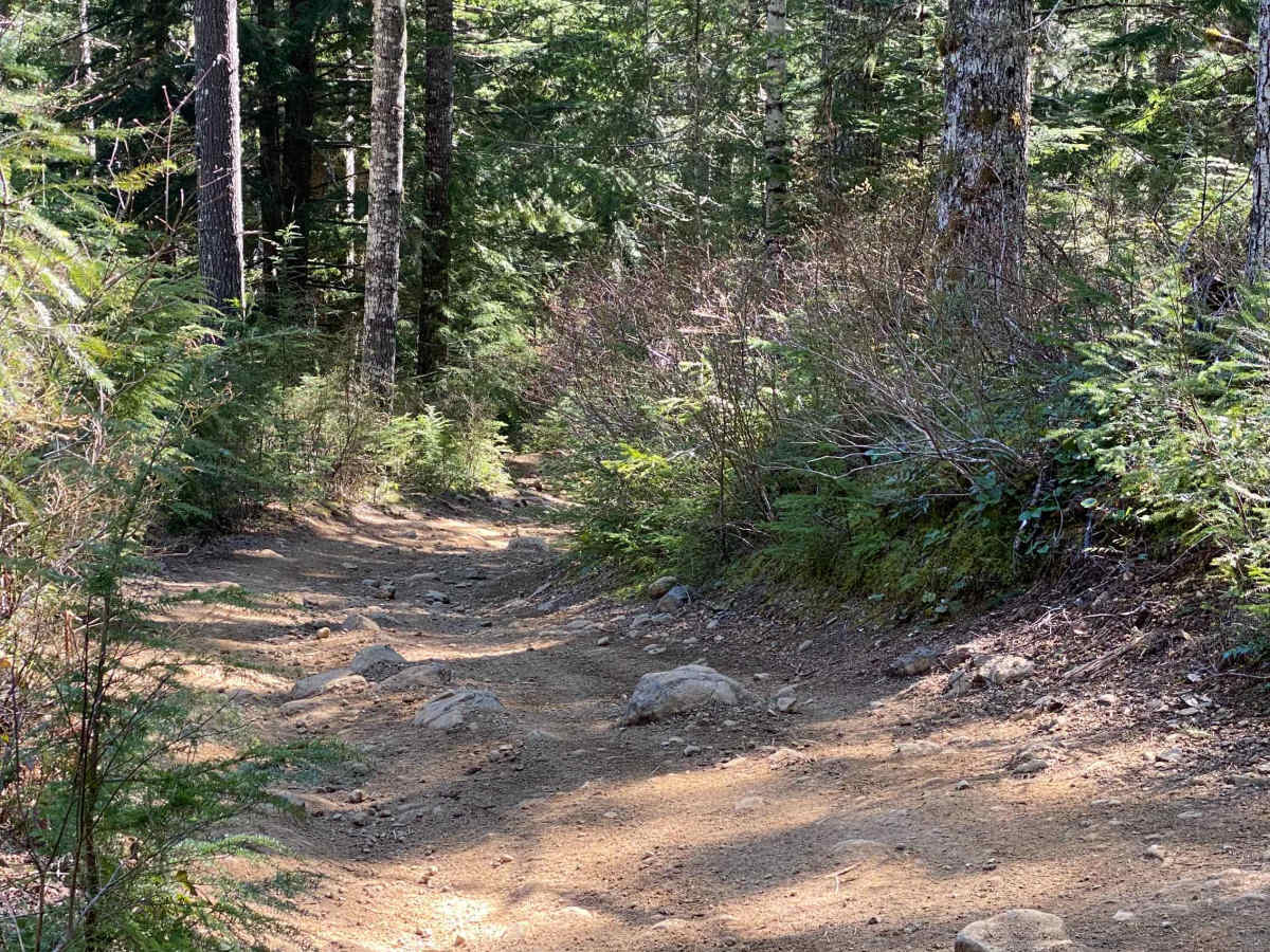 Trail 20 - Hoodraiser photo 2