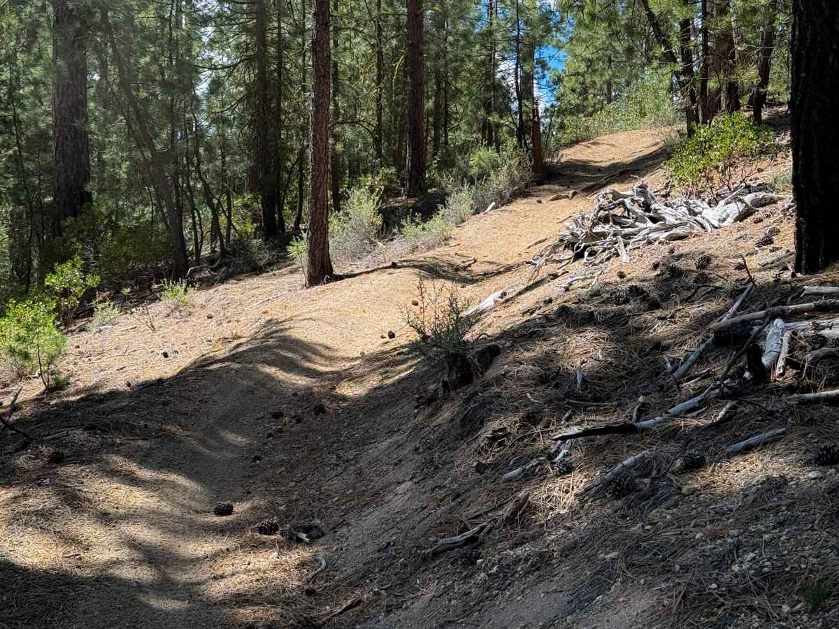 Trail 14   photo 4