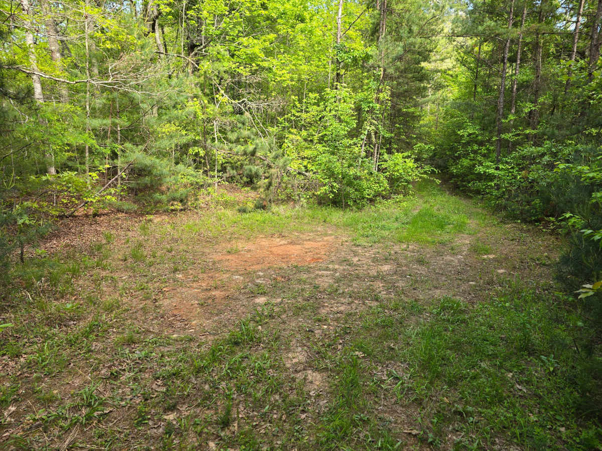 Doc Stiles Road photo 4
