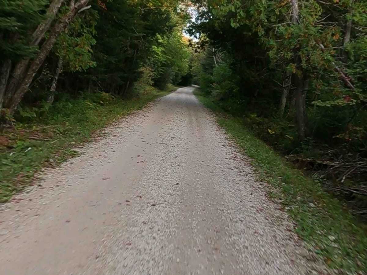 Red Creek Road - FS 3118   photo 2