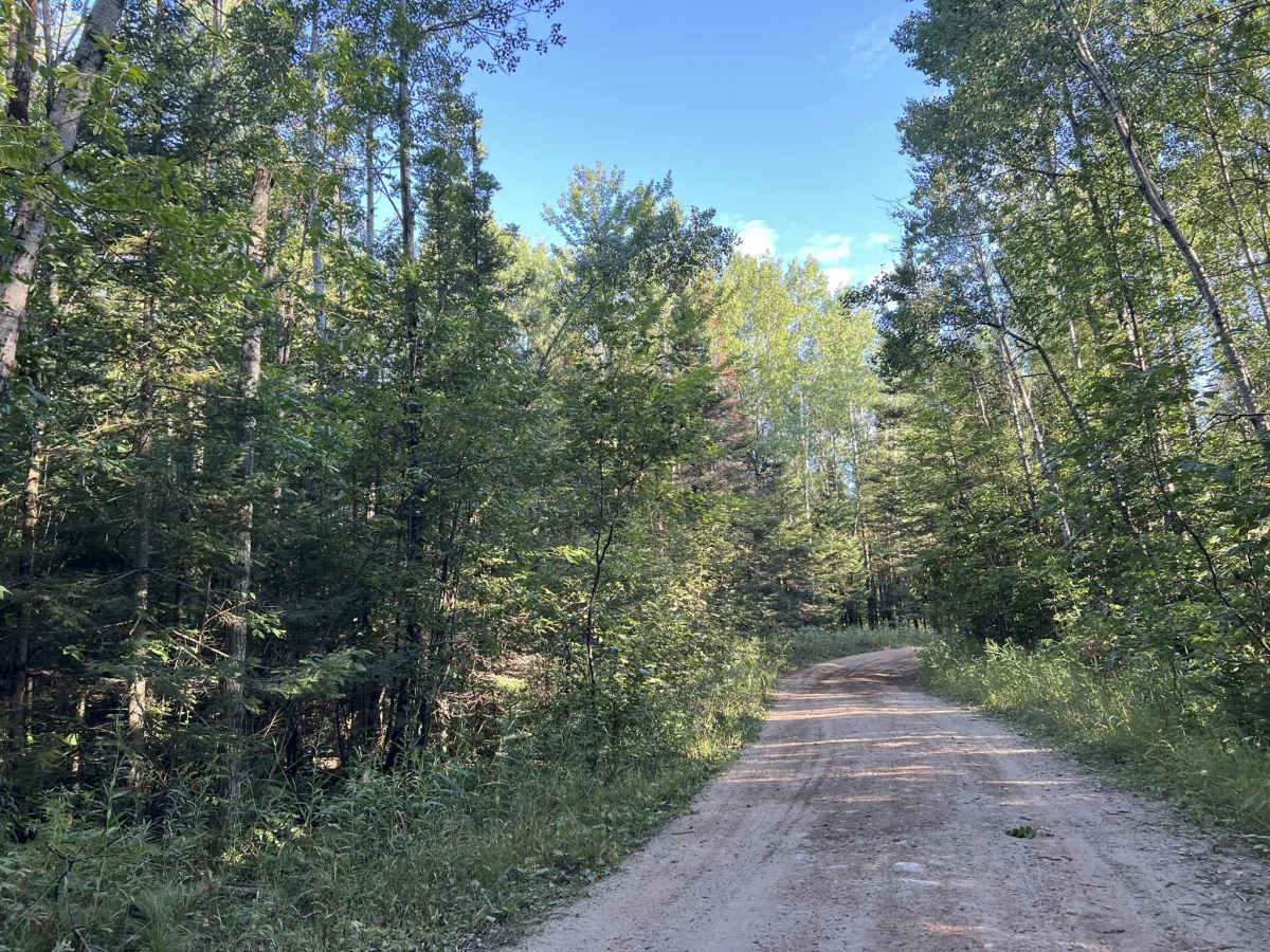 Trail FIT - FR 13044 photo 6