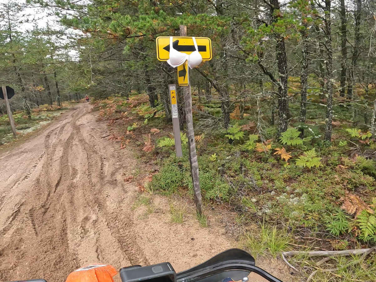 Two Hearted Trail  Connector trail photo
