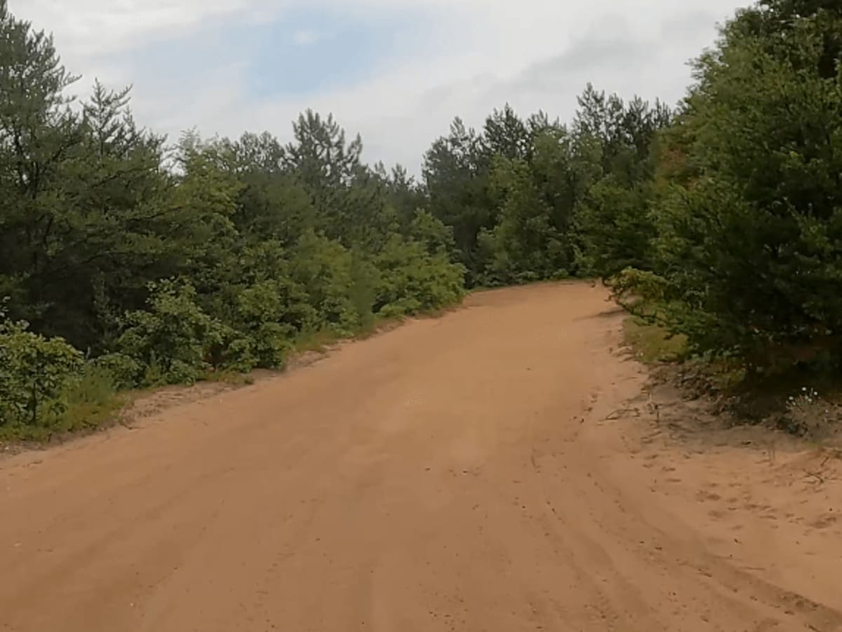 Gladwin Forest Baja photo 6