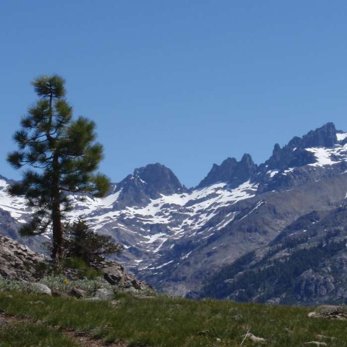 Near Stevenson Trail