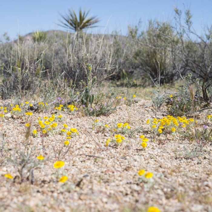 Near Ryan Ranch Trail Hike