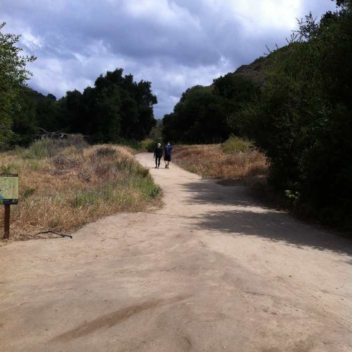 Wood Canyon Trail Near Aliso Wood Canyon 20-Mile Loop