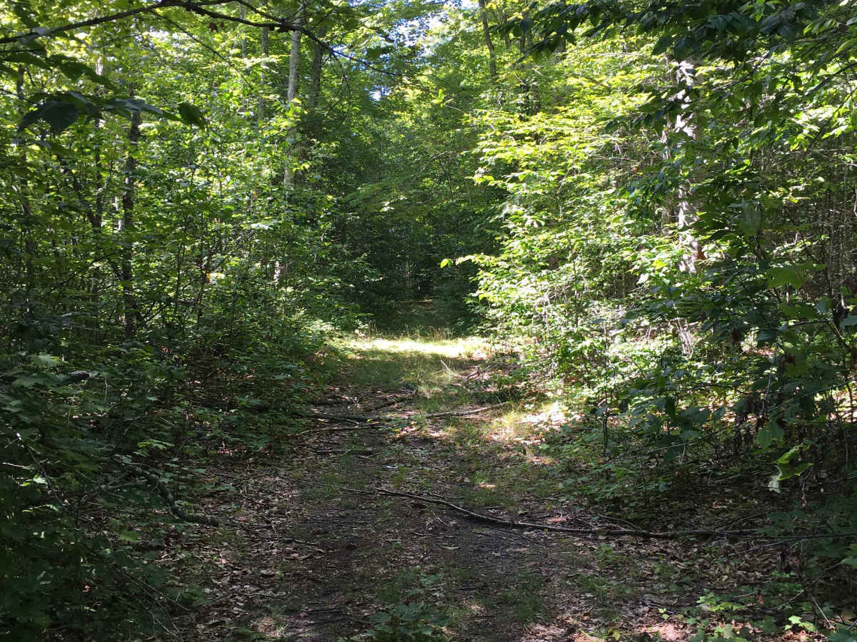 Spencer Trail photo 3