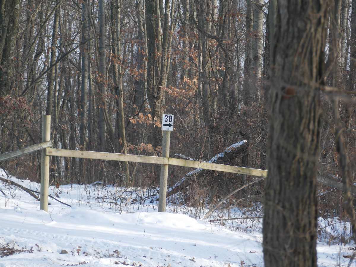 Trail 38 photo 2