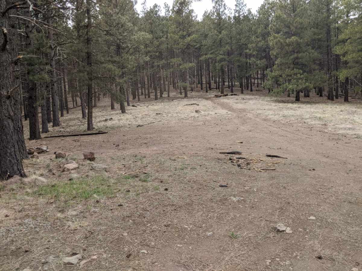 Old 190 Kendrick Trailhead photo 5