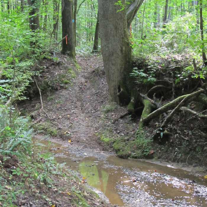 Creek crossing on the Log Jump Trail. Near Log Jump Trail