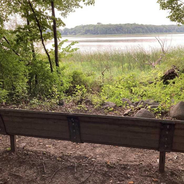 Near Hiking Club Trail