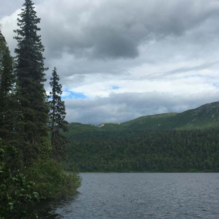Near Byers Lake - Hike to Beemans Cabin Near Byers Lake - Hike to Beemans Cabin