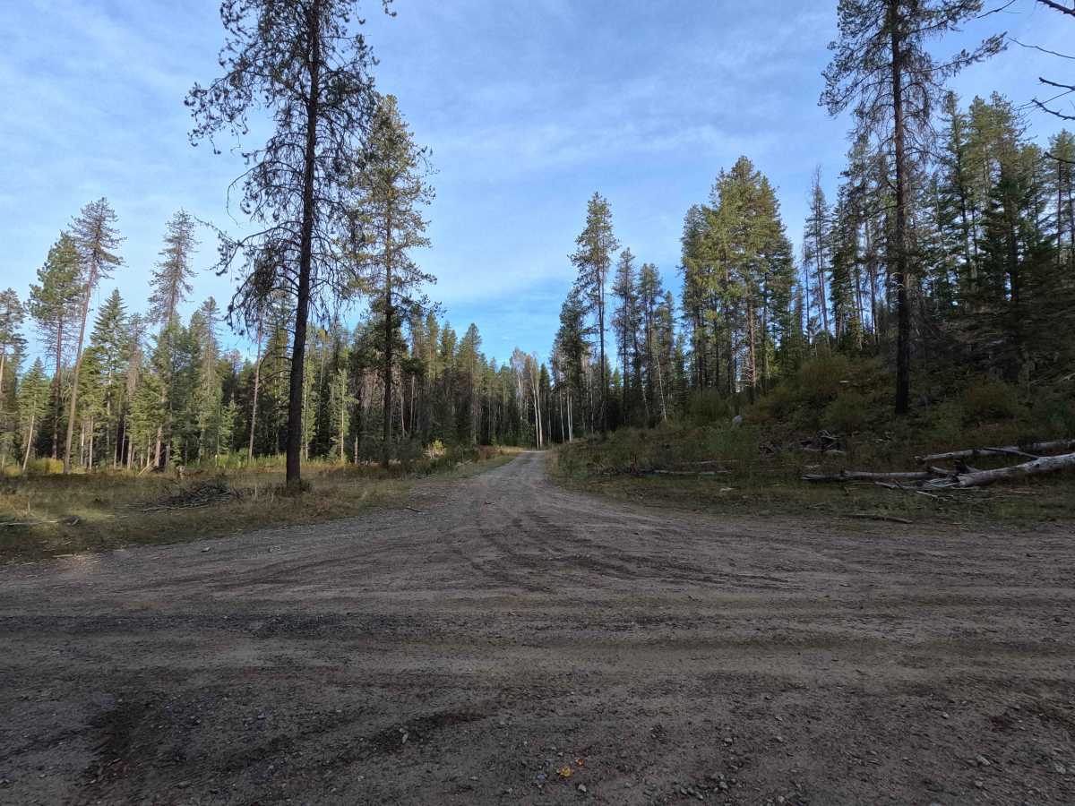FS 7005370 trail photo
