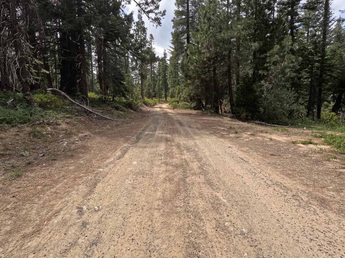 Mule Creek - FS 35N23Y photo 5