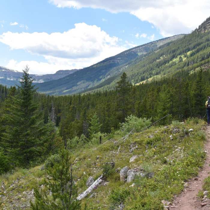 Near The Chinese Wall Loop