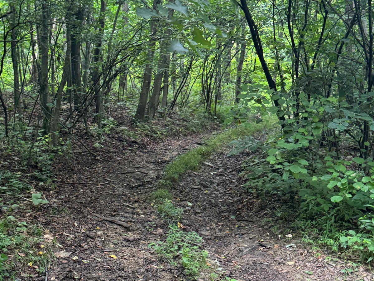 Trail 83 photo 5