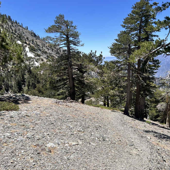Near Dawson Peak via Ski Hut