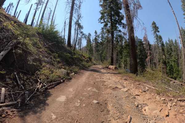 Dobler Meadow - FS 4S031