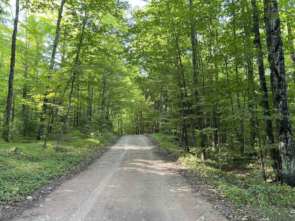 Devils Creek Trail photo 4
