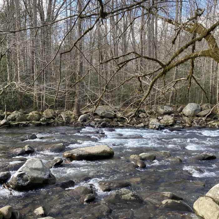 West Prong Little Pigeon River Near Sugarlands Valley Nature Trail