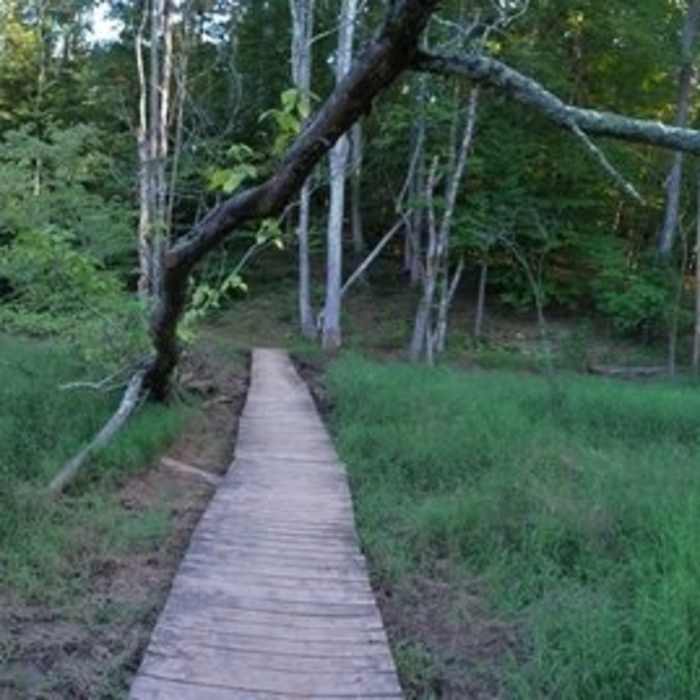 Near Mountains-to-Sea Trail: Segment 8