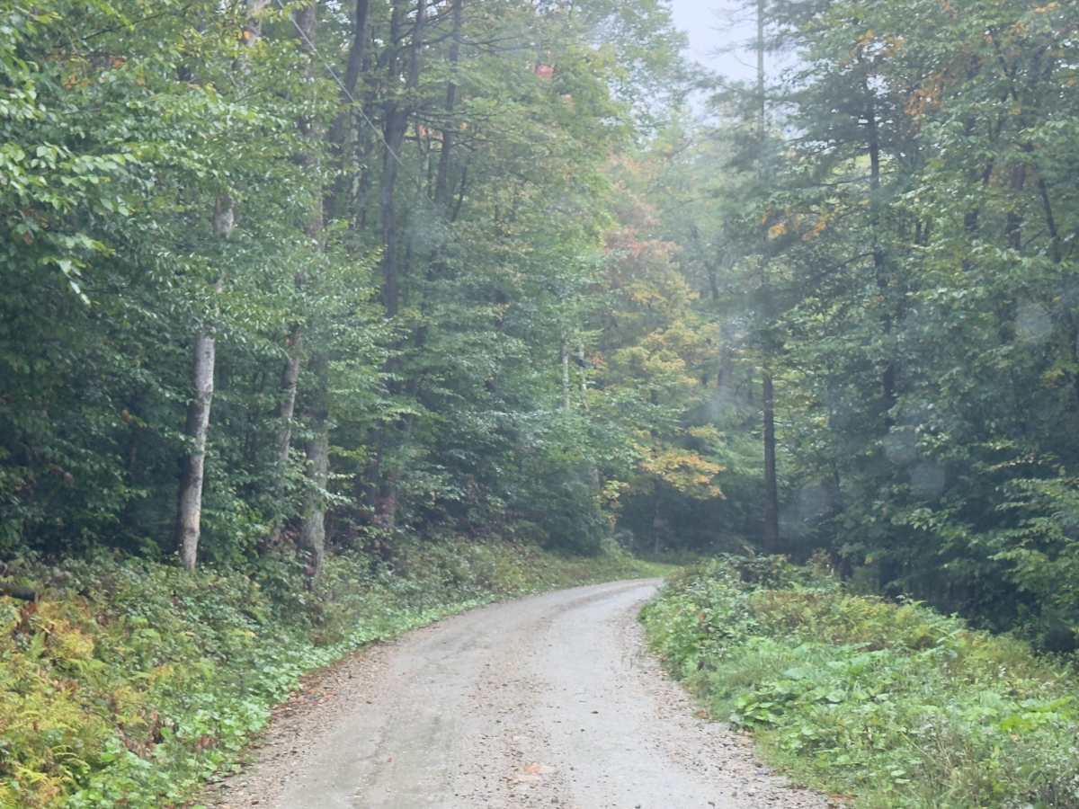 County Road Connection photo 5